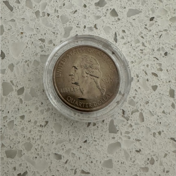 Painted Quarters (Rare) - Picture 2 of 2